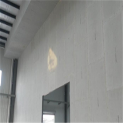 宜章新型建筑材料掺多种工业废渣的ALC|ACC|FPS模块板材轻质隔墙板